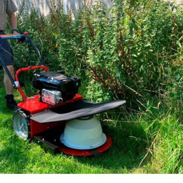 Allesmaaier Bush Boy